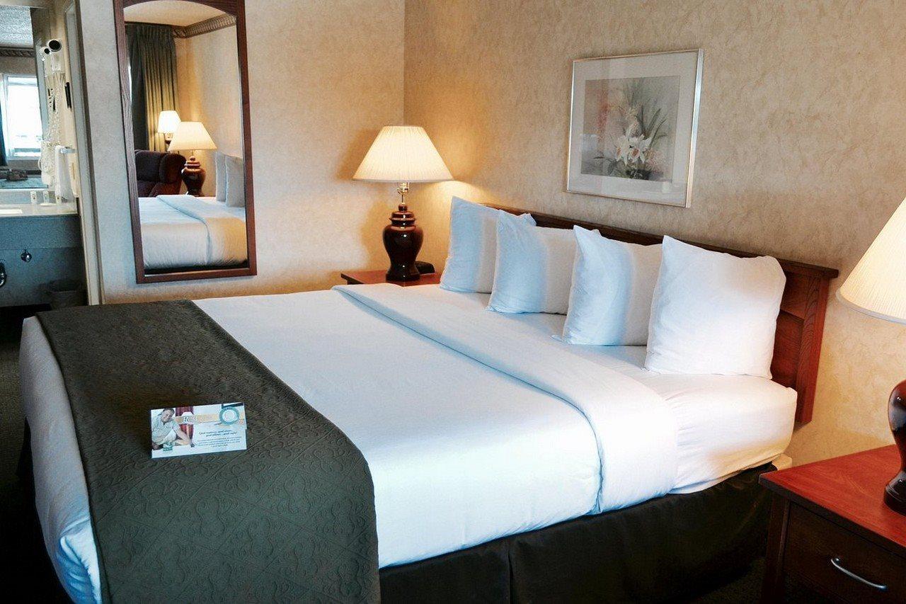 Quality Inn & Suites Silicon Valley Santa Clara Exteriér fotografie